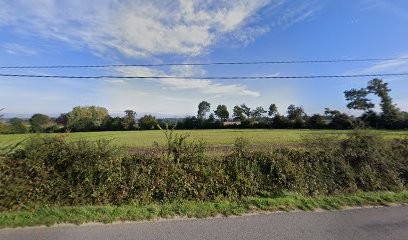 Guerin, Concessionnaire Automobile à Houssay