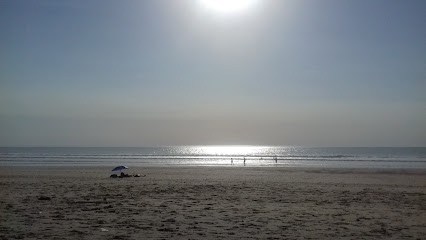 Renault Alain, Concessionnaire Automobile à Varennes-Vauzelles