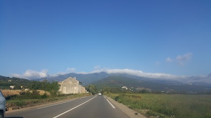 Olympic Garage, Concessionnaire Automobile à Monte