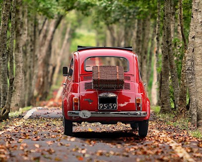 RJ CARS - The Space Dedicated To The Old Car, Concessionnaire Automobile à Hoenheim