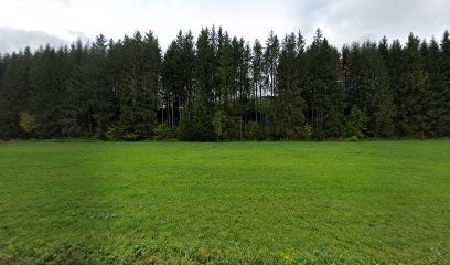 Ford Garage Franc-Comtois, Concessionnaire Automobile à Morteau