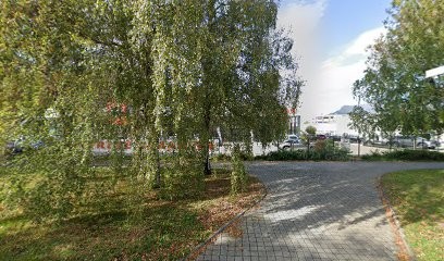 NISSAN AUTOLYV - SEYSSINET-PARISET, Concessionnaire Automobile à Seyssinet-Pariset