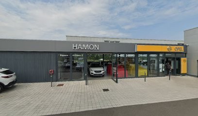 Hamon Automobiles, Concessionnaire Automobile à Yffiniac