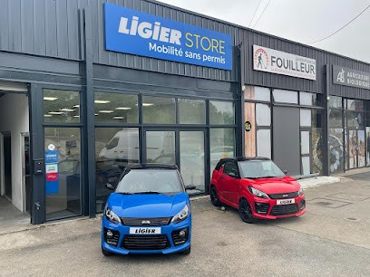 LIGIER STORE - NEMOURS SERVICE AUTOMOBILE - VOITURES SANS PERMIS LIGIER ET MICROCAR, Concessionnaire Automobile à Pithiviers