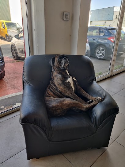 Citroën ALEAUTO, Concessionnaire Automobile à Sainte-Geneviève-des-Bois