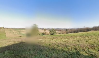 Prestig'Motors, Concessionnaire Automobile à Beaupuy