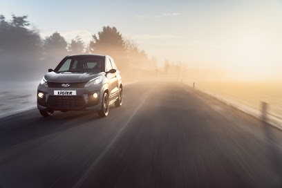 VOITURES SANS PERMIS LIGIER ET MICROCAR - EQUIP'LOISIRS AUTOS, Concessionnaire Automobile à Olivet