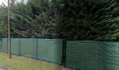 Electric Travelling Cars, Concessionnaire Automobile à Ollainville